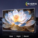 Deck Pro 2.0 75 Partial sun outdoor TV Google TV, 1000nit