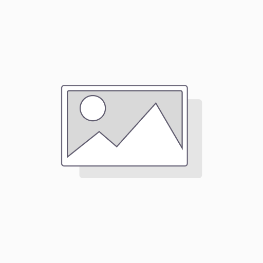 Funda de transporte Verbatim (Folio) Lector de texto digital - Bronce